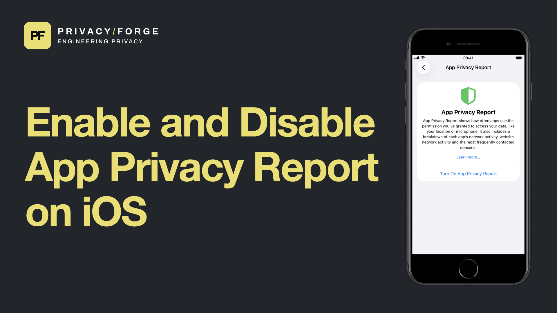 Enable and Disable App Privacy Report on iOS